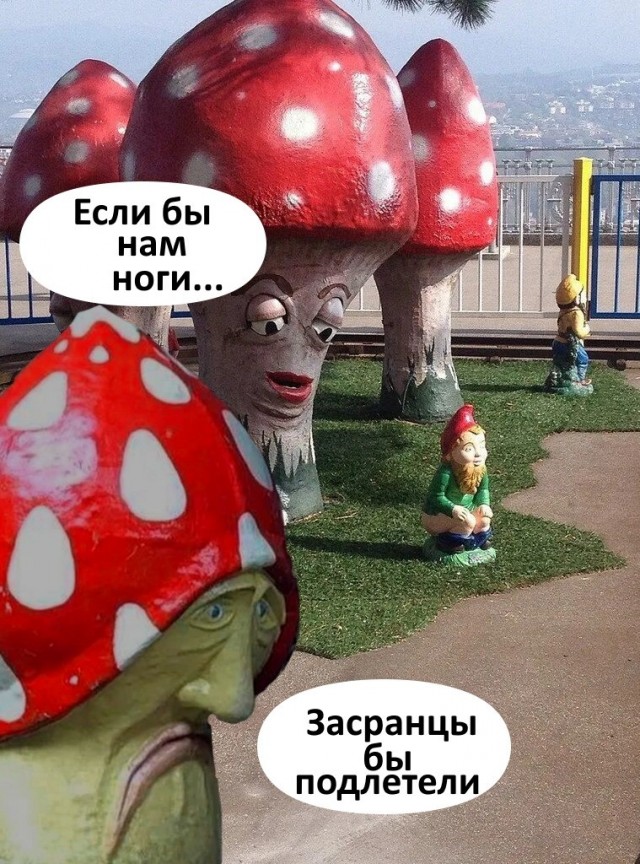 Картинки для деградации 188 (разной степени свежести)