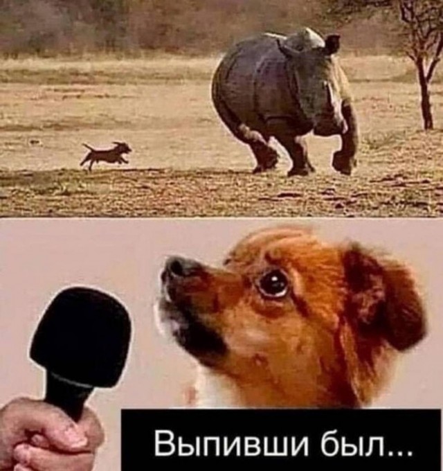 Картиночки, баянчики 25 июня