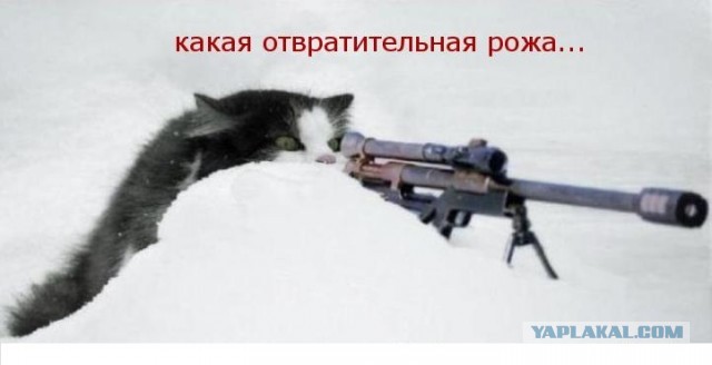 Симпатяшка блондинка.