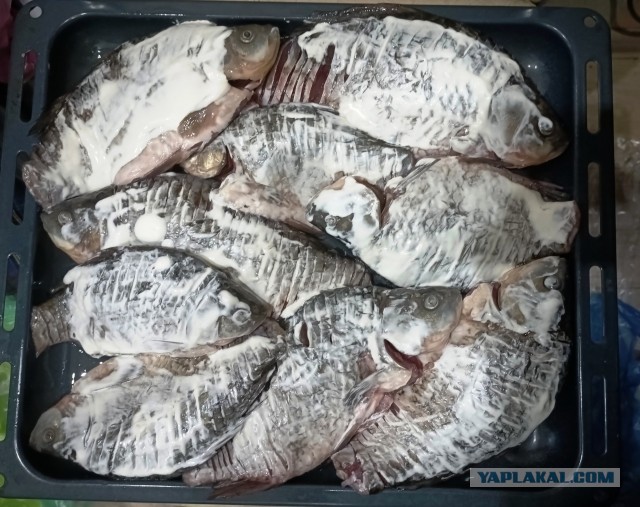 Мужская кулинария. Караси в сметане