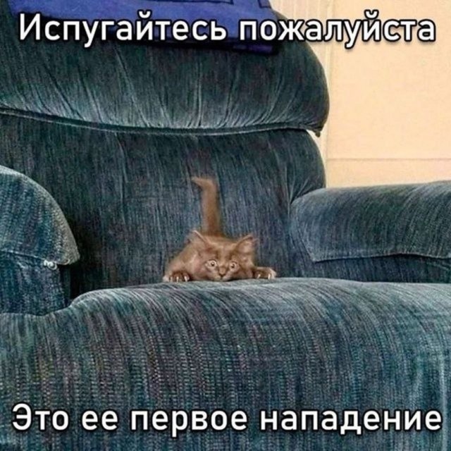 Так себе картинки 07.09.26