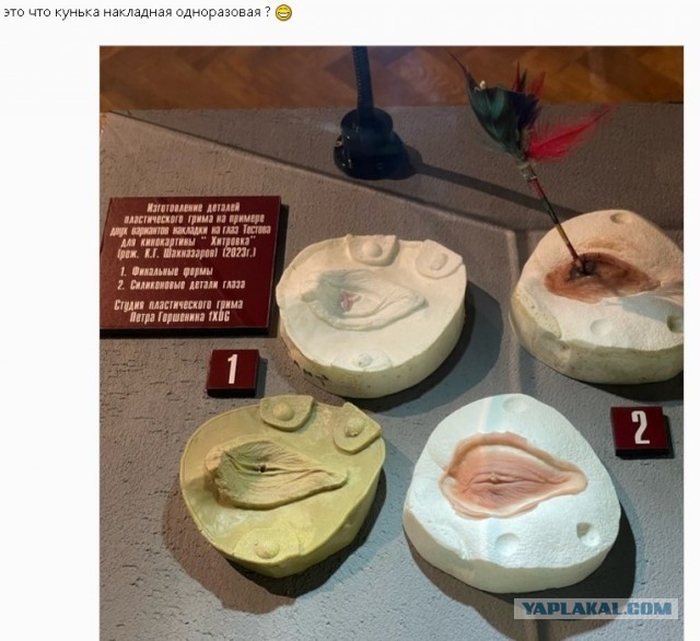 Оказывается, у колибри есть реснички.