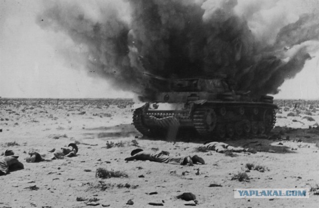 Wargaming 12, WoT сотоварищи