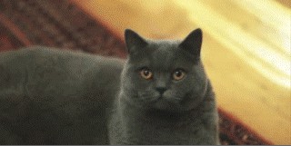 Вот и поговорили