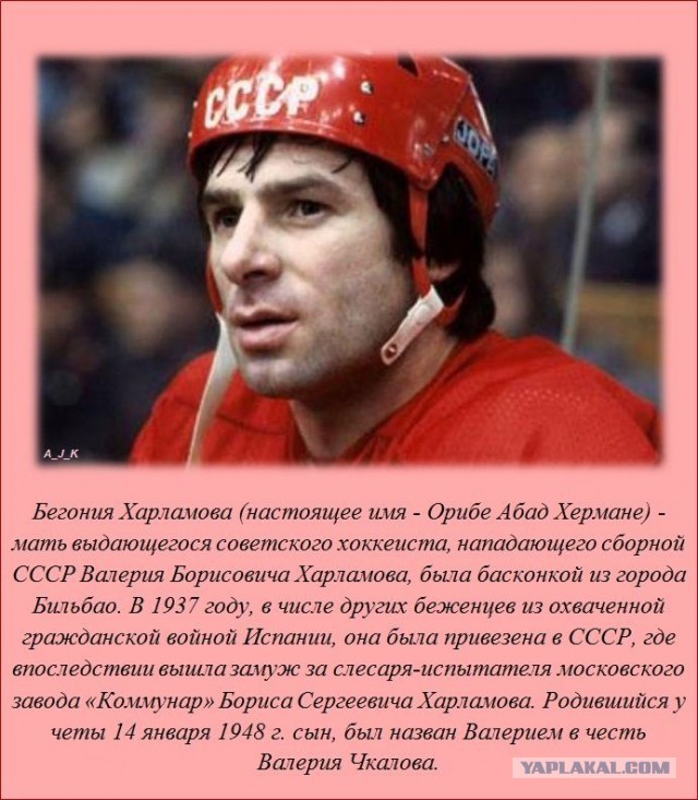 20 фактов обо всем