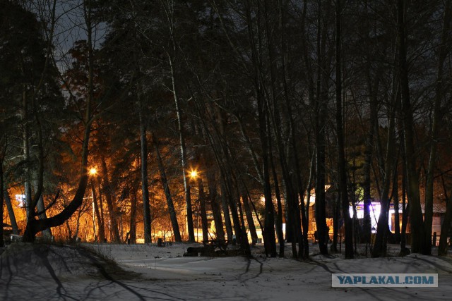 Чем можно заняться с фотокамерой ночью