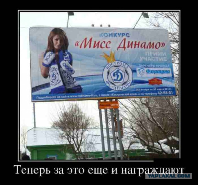 Немножко картинок