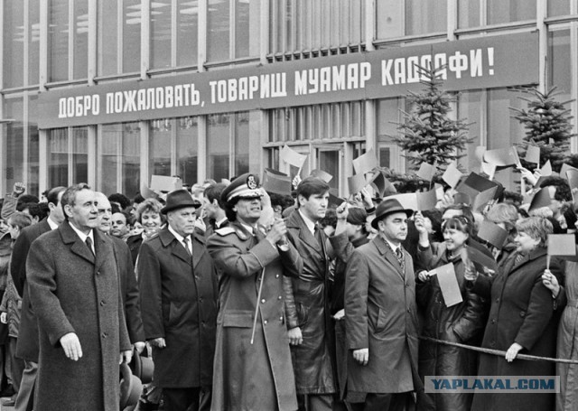 Я никогда не оставлю землю ливийскую...