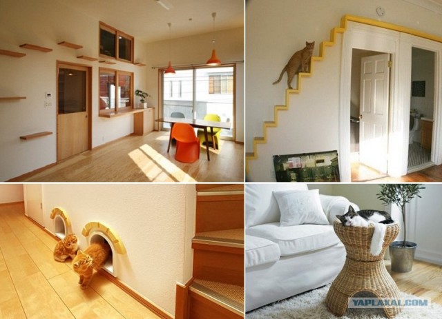 Домик для котейки