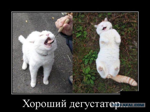 Картинки разные
