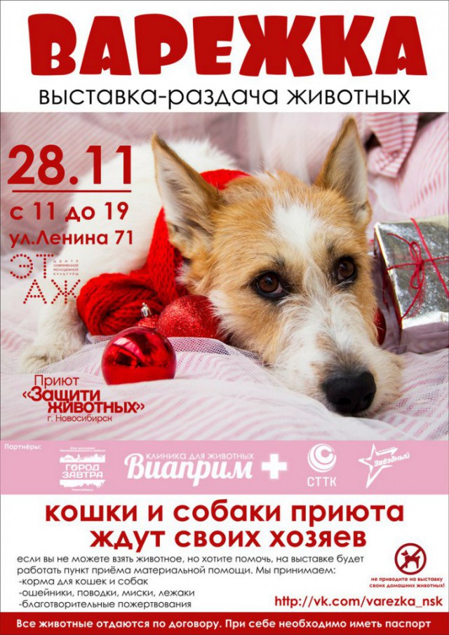 "Варежка - 3" в Новосибирске