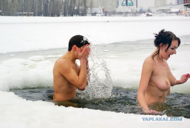 Моржи, которые вас удивят