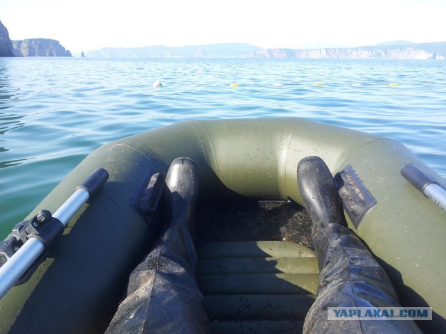 Утомленные икрой: какая она, жизнь на Камчатке?