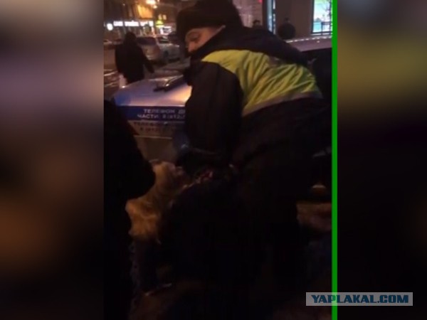 Петербурженка испугалась полицейских, и теперь ей грозит уголовное дело