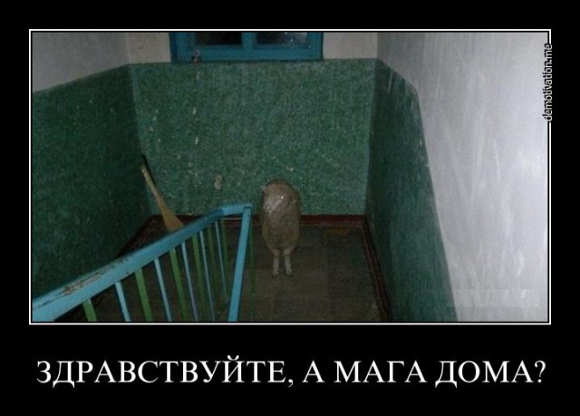 Луны нет