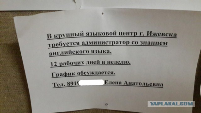 Картинки из интернетов