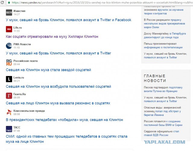 У мухи, севшей на бровь Клинтон, появился аккаунт в Twitter