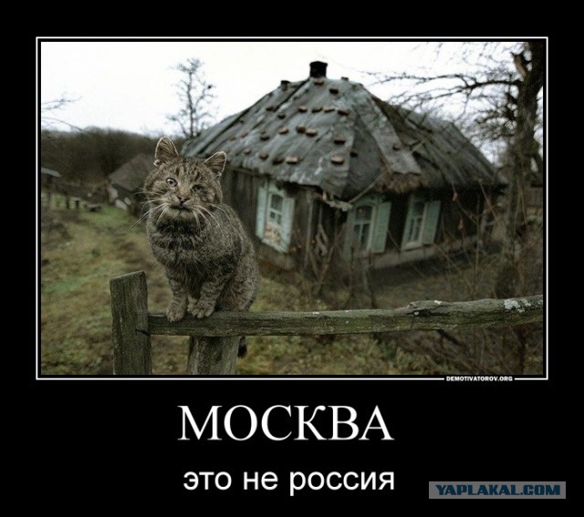 Для тех, кто ненавидит москвичей!