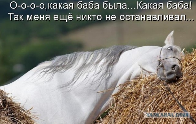 Русские бабы