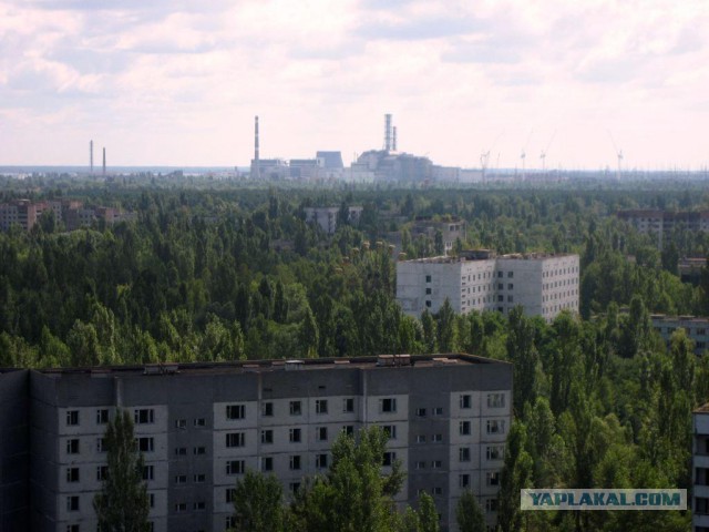 Моя поездка в Чернобыль