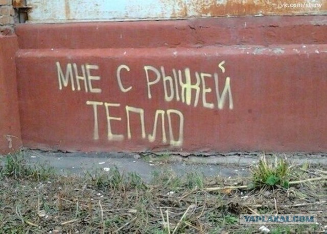 Краска для волос