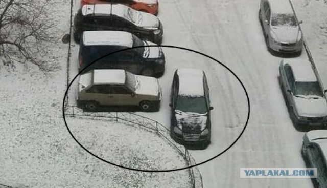 Хорошо в Питере в мае!
