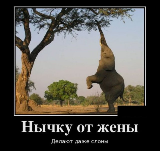 Картинки в черных рамках с подписями