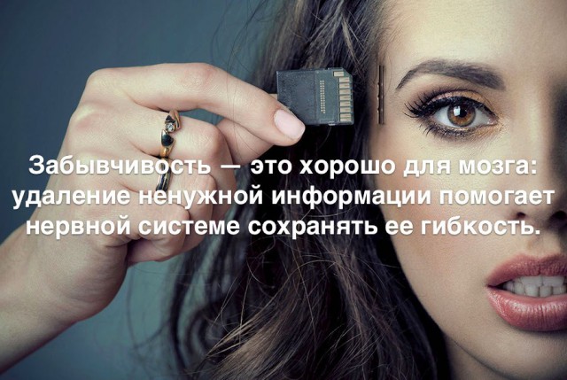 35 занимательных фактов