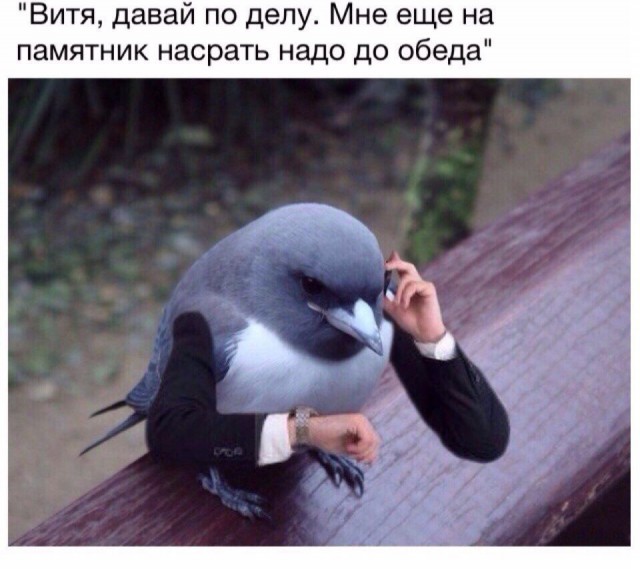 Немного деграданса - 2