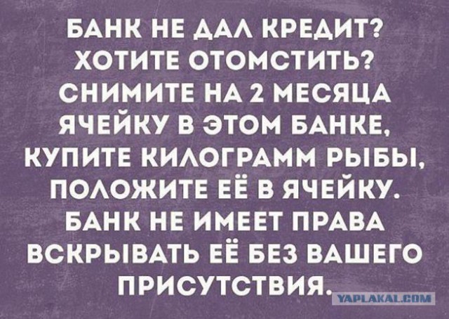 Смешные комментарии из социальных сетей 01.09.2017