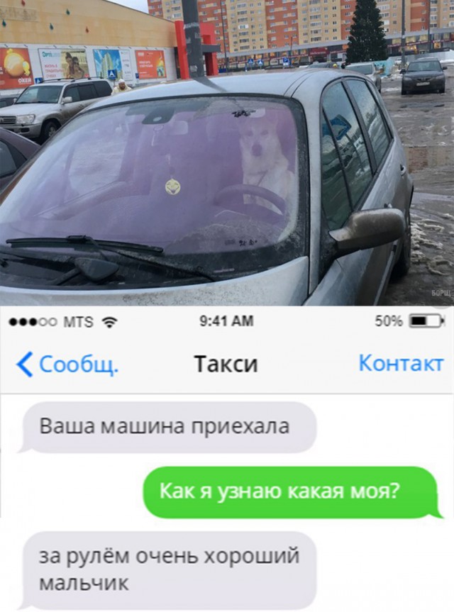 Картинок всяких
