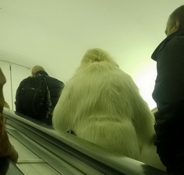 Минутка высокой моды