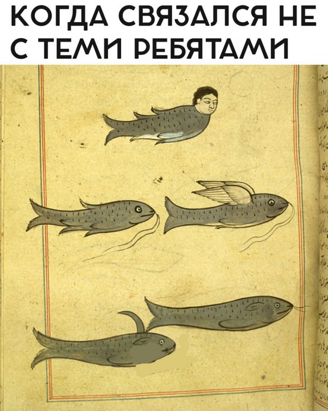 Нас всех преследует понедельничная деградация и откровенный тупёж!