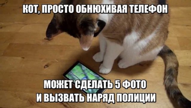 Подборка интересных и веселых картинок