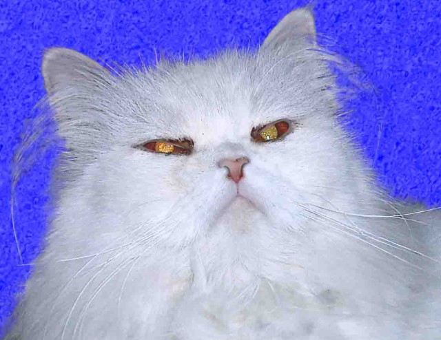 Самооборона с хорошим финалом