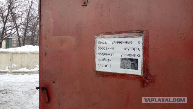 Подборка картинок с личного мобильного