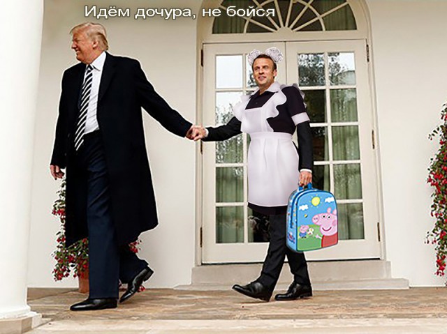 Сажающие дерево Трамп и Макрон превратились в мем