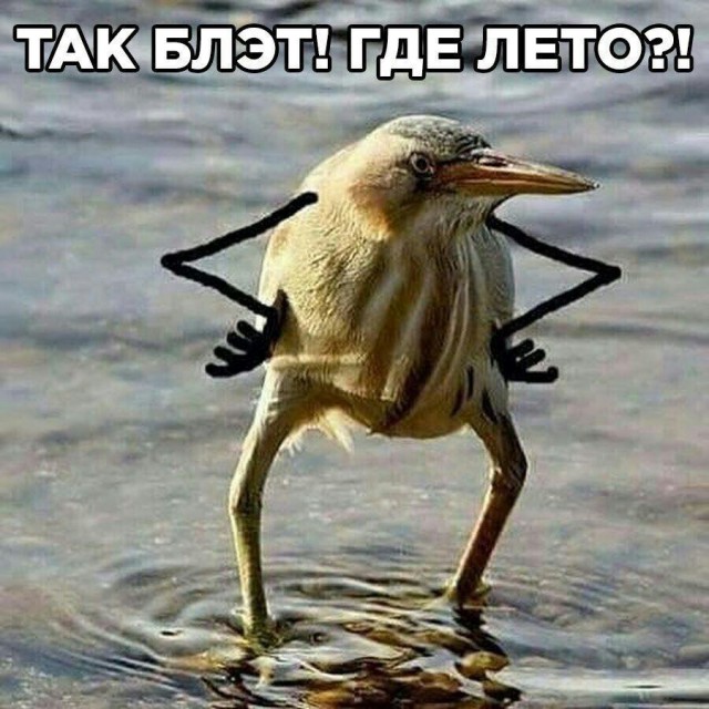 Коротко о погоде