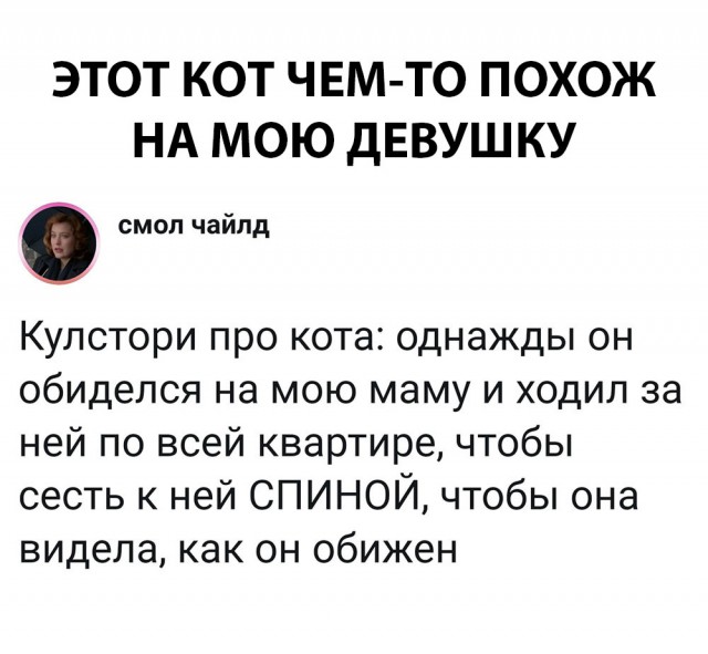 Немного картинок на сегодня