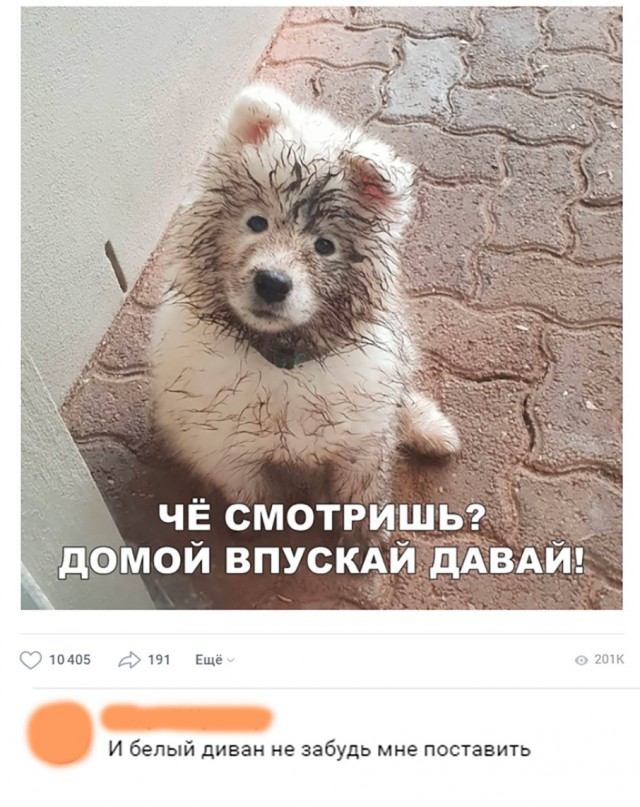 Нестандартный юмор