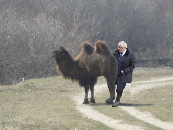 Фотожаба "На поводке"
