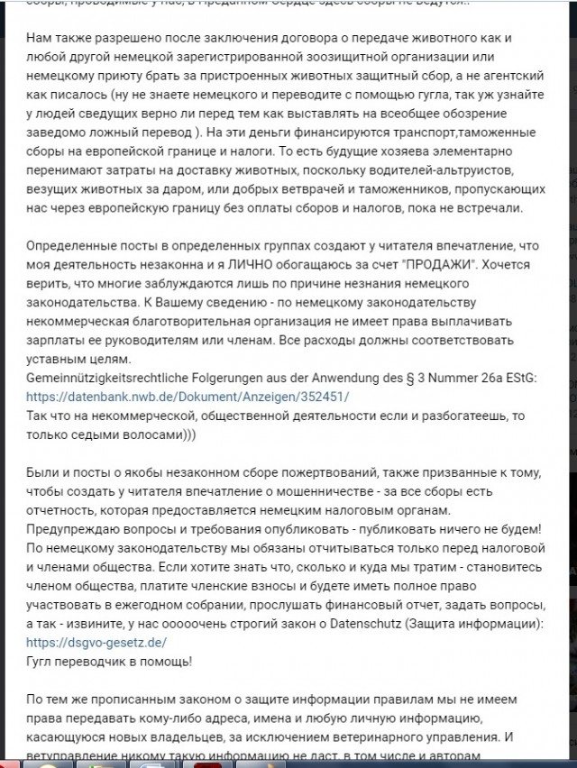 Помогите вернуть кота! Приют "Преданное сердце" украл кота и не отдает!-2