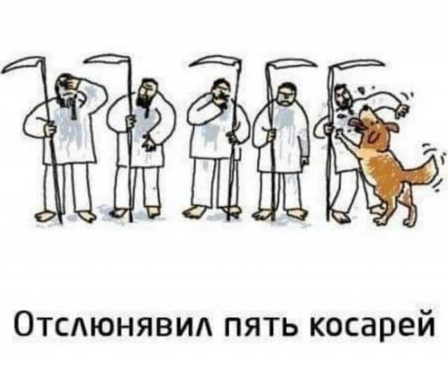 Немного картинок для настроения 25.05.20