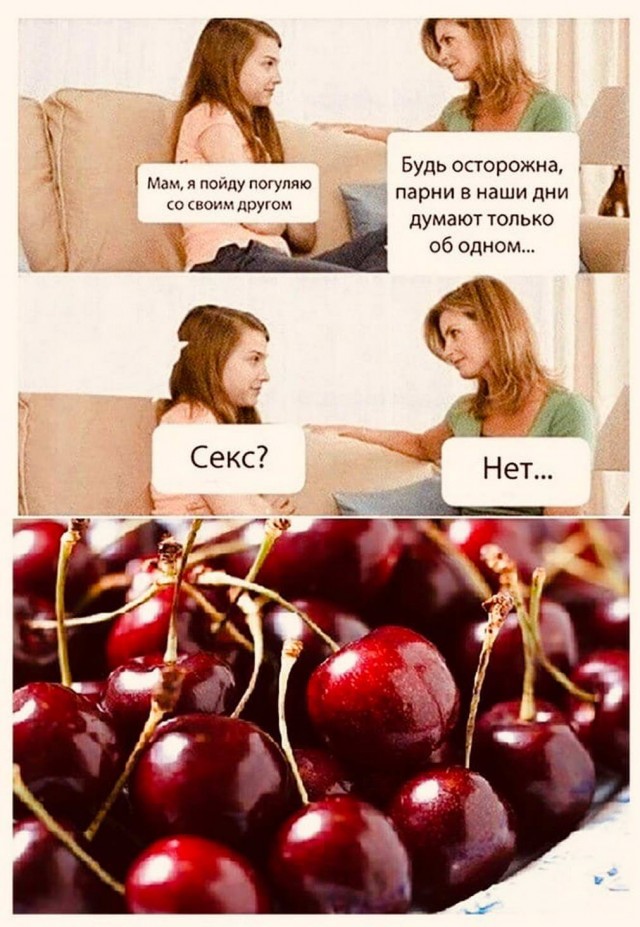 Дурдом
