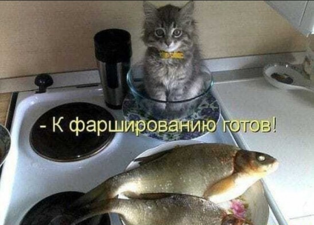 Картинки