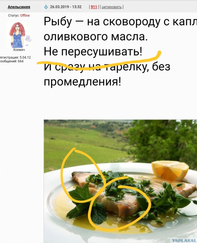 Мясо (не) по-французски
