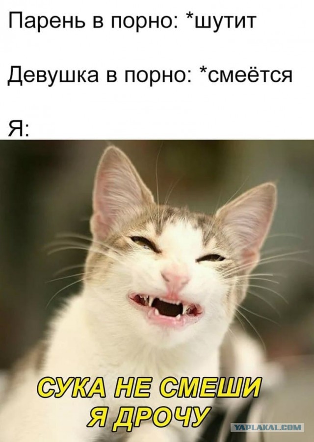 Мемы про секас #2