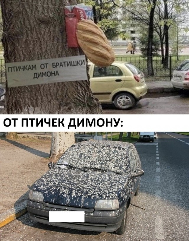 Весёлый полтишок 5.03