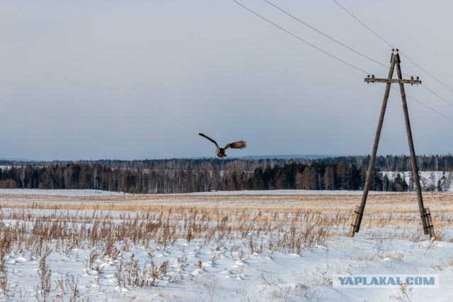 Мужик, ты чего пристал?