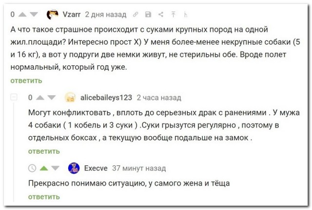 Забавные комментарии из социальных сетей 05.07.21